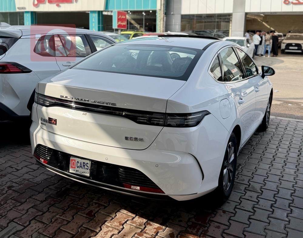 بي واي دي ديستروير 05